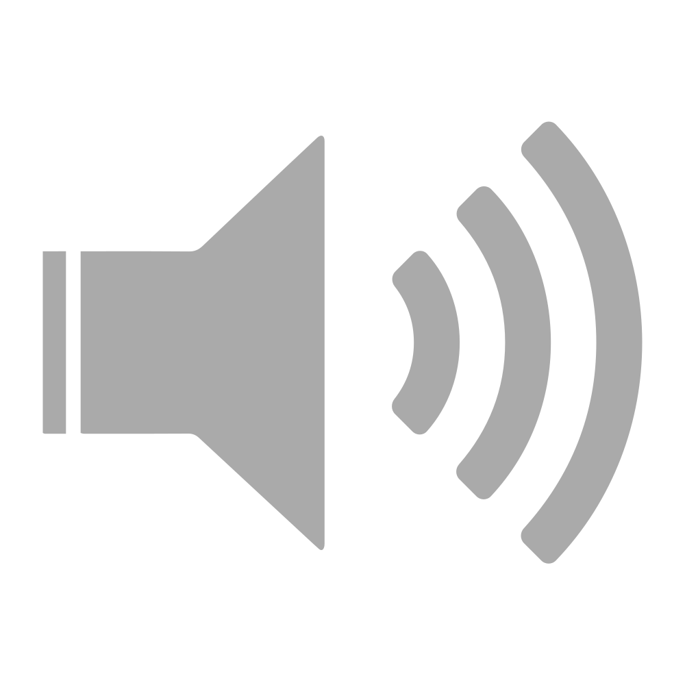 Audio Icon