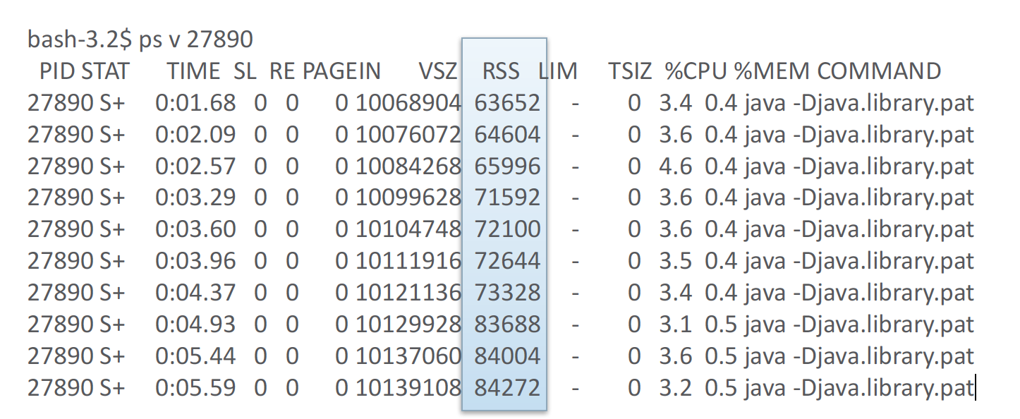 Memory utilization of the monitored process 